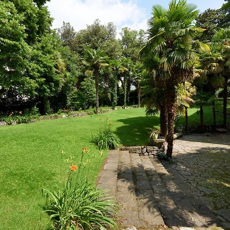 Central Palm Studio With Free Parking Merano Ngoại thất bức ảnh